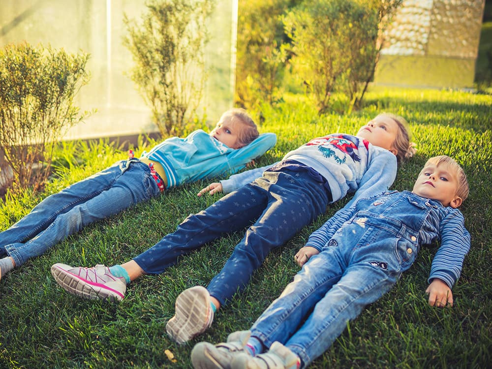 vitolda-klein-6Z8aOySZqZQ-unsplash